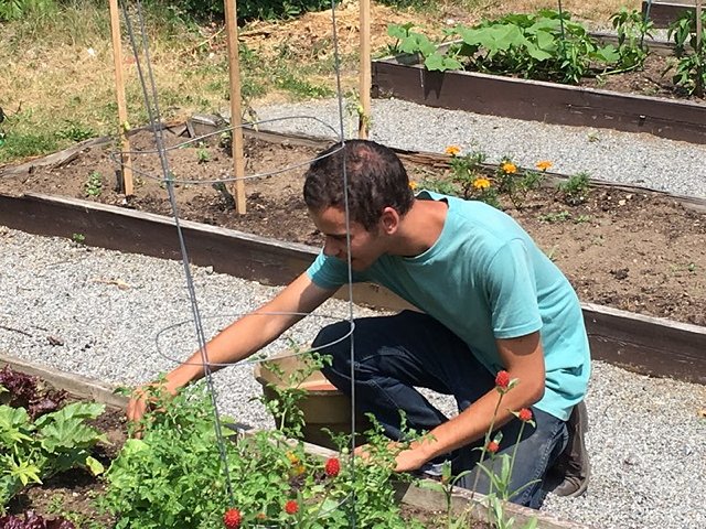 Building a Garden Building